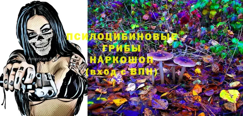 МЕГА ссылка  Ковров  Галлюциногенные грибы Magic Shrooms 